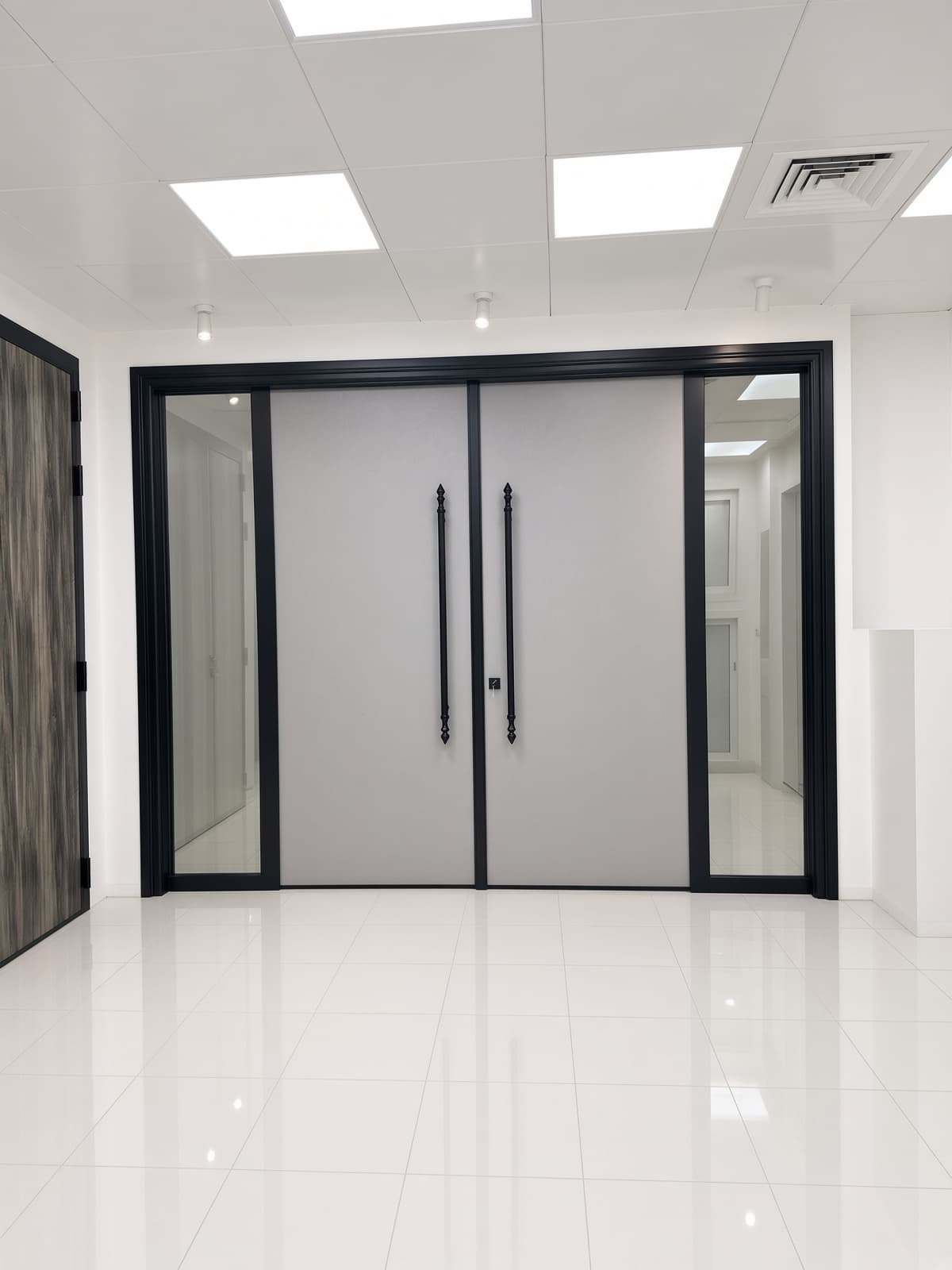 WPC Modern Villa Door